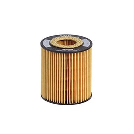 Hengst E29H D89 Oil Filter