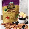 Sisters Fruit Company, Blackberry Apple Chips, All-Natural, No Preservatives, Fat-Free