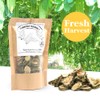 EidolonGreen [China Medicinal Herb] Bitter Melon (KuGua/苦瓜/여주) Dried Bulk Herbs