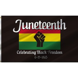 Masquita Juneteenth Flag 4x6FT June 19th 1865 Independence Day Freedom African Black History Flag Indoor Outdoor Vivid Color Double-Stitched Edges and Flags with 2 Brass Grommets. (4x6)