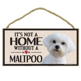 Imagine This Wood Sign for Maltipoo Dog Breeds