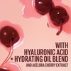 MAYBELLINE Lifter Glaze Oil Balm with Hyaluronic Acid and Hydrating