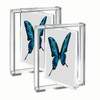 irbaniland 5x7 Rotating Acrylic Photo Frame Photos Frame Photo Frame