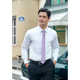 HISDERN Men's Tie Purple Skinny Neckties For Men Classic Silk Wedding Ties Formal Slim Neck Tie with Box (6cm