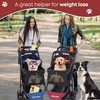 CHIHUAHUA 2-in-1 Foldable Pet Stroller with Canopy,3 Wheels Pet Strolling