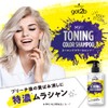 Got2b Toning Color Shampoo 10.1 fl oz (300 ml)