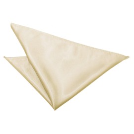 DQT Plain Satin Formal Casual Wedding Handkerchief Pocket Square Hanky - Champagne