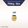 LTWFITING 1/8인치 황동 압축 슬리브 페럴 피팅 250팩 [1/8 -5/16]