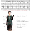1920s Art Deco Fringed Sequin Dress 20s Flapper Gatsby Costume