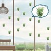 Jetec 24 Pcs Acrylic Air Plants Holder Hanger with Mounting