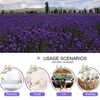 CoolCrafts Dried Lavender Flowers, Dry Lavender Buds Bulk for Wedding