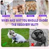 Uadonile Dog Surgery Recovery Suit for Male Female, Spay Neuter