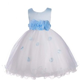 Pink Promise Flower Petals Ruffled Tulle Wedding Party Girl Princess Dress, Light Blue, 10