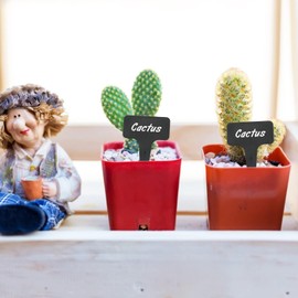 Pack of 100 Plant Labels for Labelling, 1 Piece Marker Pen Plant Signs, Plant Signs for Labelling, Plants Labelling Signs Grow Accessories (Black)