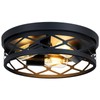 SKEJAO Flush Mount Ceiling Light Fixture, 3-Light Ceiling Light Fixture
