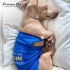 Parisian Pet Dog Tshirt - Embroidered “ Awesome “ Dog