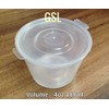 GSL 50 x 100ml Food Storage Grade Hinged Lid Plastic