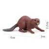 2-Piece Realistic Beaver Figurines - Canada's National Animal, Solid Core,