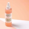 Mario Badescu Facial Spray with Aloe, Herbs and Rose Water