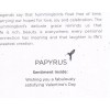 PAPYRUS VALENTINES CARD NIP MSRP $4.95 WHO NEEDS MEN CARD
