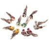 12Pcs Simulation Foam Bird Artificial Bird Decor with Clip Fixing