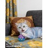 HEUHAI 5 Pack Cat Toys Balls Indoor Kitten Interactive Play