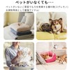 OKAWASI 猫 犬 抜け毛取り クリーナー ペット毛 掃除 カーペット 毛取り2種 衣類