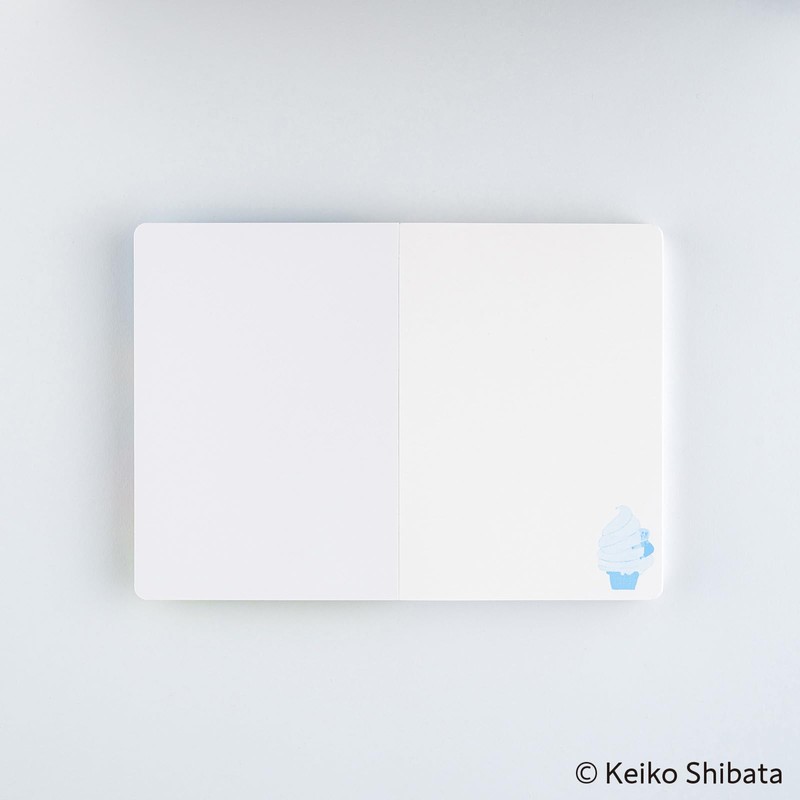 Nichichi Notebook Keiko Shibada / Hashi Paper (z) Ueda, Summer