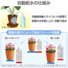 Como Life Easy Watering Rope, Set of 4 (Total Length: