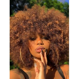 GKtineke Afro Wig 14Inch Afro Wigs for Black Women 70s Mixed Brown Afro Kinky Curly Wig Bouncy Huge Fluffy Puff Wigs Synthetic Hair for Cosplay Daily and Party (Mixed Brown)