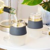 HOST Freeze Wine Glasses with Lids, Insulated Cooling Cups with