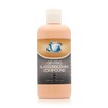 Glass Polish 16.9oz (500ml) GP-PRO Glass Polishing Compound for Professional