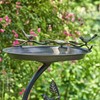 Zaer Ltd. Shallow Birdbath on Curved Branch Stand (Galvanized Finish)