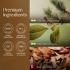 Gya Labs Christmas Tree Essential Oil Blend for Diffuser -