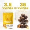 Jungle Powders Passion Fruit Powder 3.5 Ounce, Freeze Dried Passion