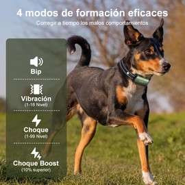 Bauihr 500m Collar Antiladridos Perro para 2 Perros, Bloqueo Una Clic Prevenir Toque Imprevisto, IPX7 Impermeable y Recargable con 3 Modos Entrenamiento, para Perros Grandes Medianos Pequeños