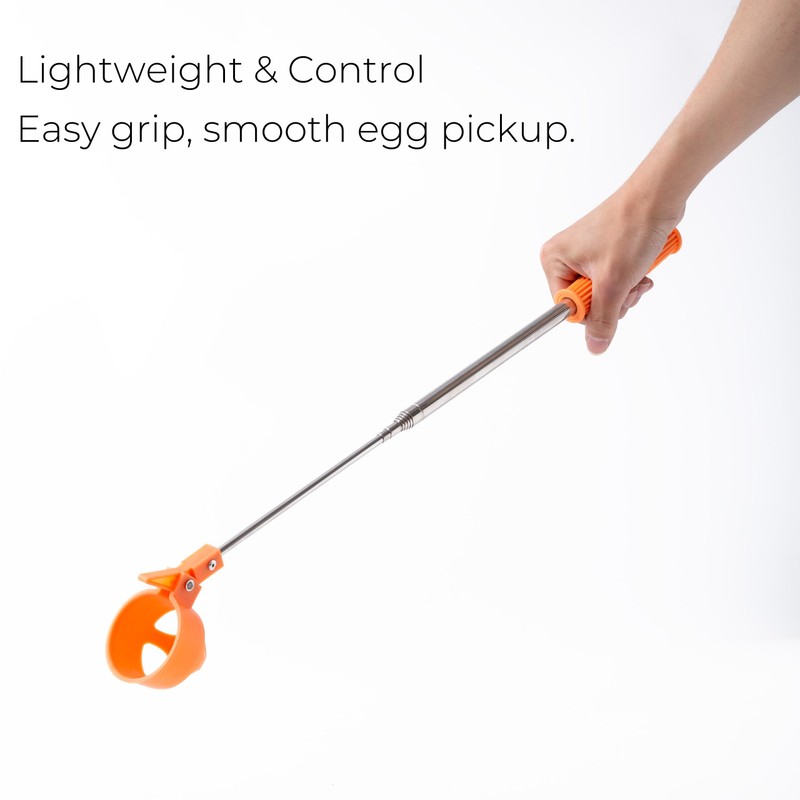 Egg Grabber for Chicken Eggs – Extendable Stainless Steel Egg