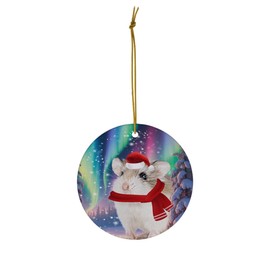 Funny Roborovski Dwarf Hamster Christmas Ornament 2025 Ceramic Circle White - Festive Winter Northern Lights Holiday Xmas Tree Hanging Decoration Gifts for Hamster Lovers