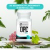 OPC Traubenkernextrakt – 500 mg pro Kapsel – Hochdosiert & Vegan