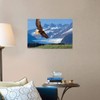 CANVAS ON DEMAND Bald Eagle in Flight with Mendenhall Wall