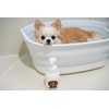 [For Dogs and Cats] Skin Care [Organic] Dogs