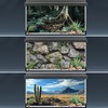 COMSUN 3 Pack Terrarium Background, 48x24 inches Polyester Reptile Background,