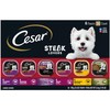 Cesar Wet Dog Food Steak Lovers Variety Pack with Real