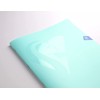 Clairefontaine - Ref 308686C - Mimesys Opaque Polypro Pastel Stapled