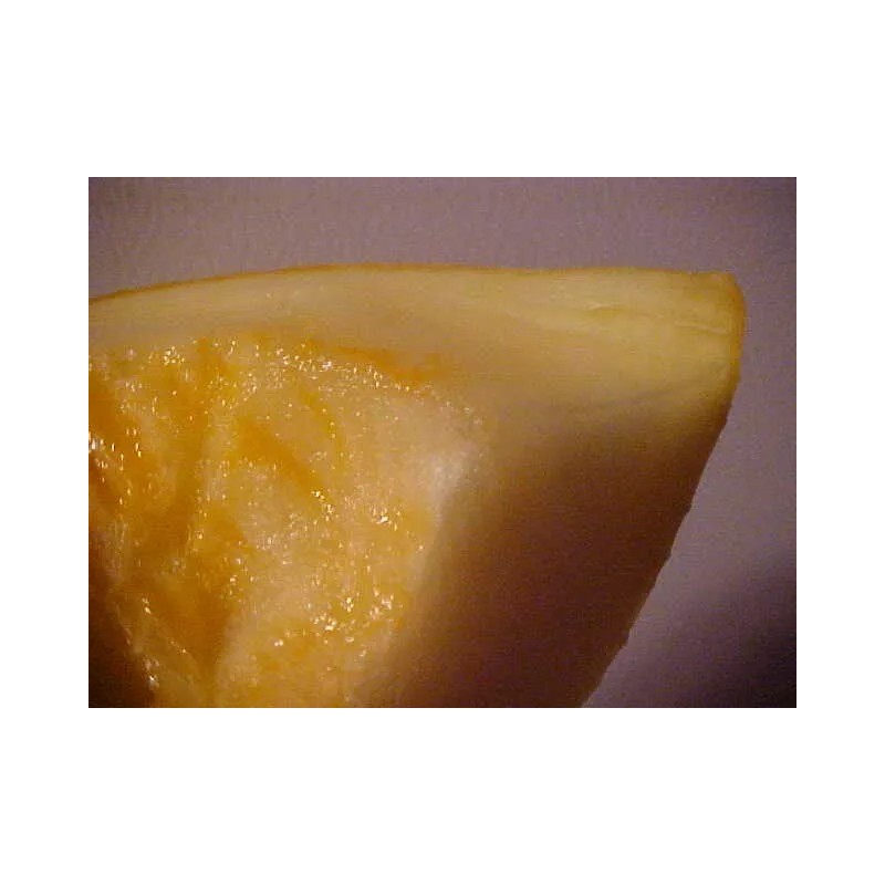 PACOS CANTALOUPE SWEETEST MELON WORLD KNOWN 300 SEEDS PECOS CANTALOUPE