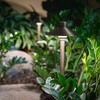 Aquascape Path and Area LED Landscape Light, Hat Top Design,