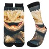 YISHOW Bearded Dragon Lizards Unisex Novelty Crew Socks Casual Funny