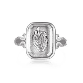Joliernelle Anatomical Heart Ring for Women Stainless Steel Silver Faceted Crystal Zirconia Ring Size 9