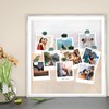 Pack of 12 3D Flowers Cute Fridge Magnets Cactus Magnetic