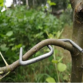 LEILIN The fruit branch spreader forms stronger branches on cherries and other fruit trees to support the growth of new branches, branch support (24 per pack) (S-3.9 inches))